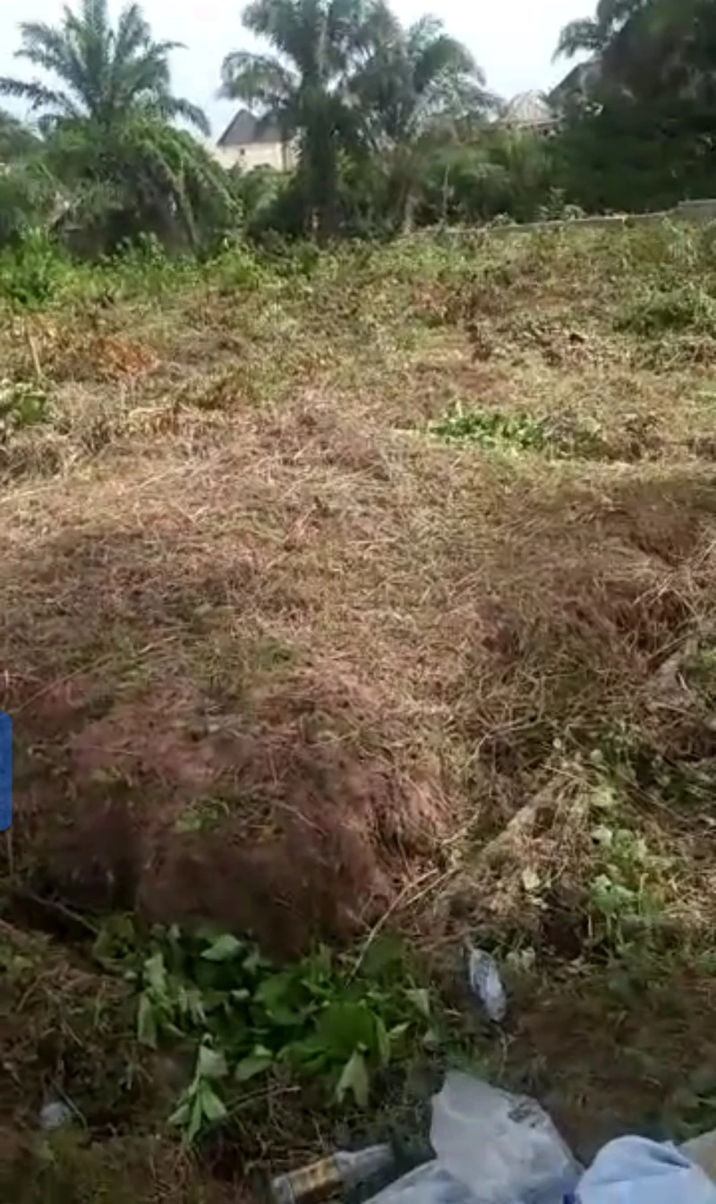 Land for Sale in Jeff ibusa, Delta - Image 1
