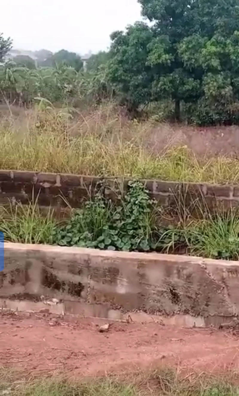 Land for Sale in Okpanam, Delta - Image 4