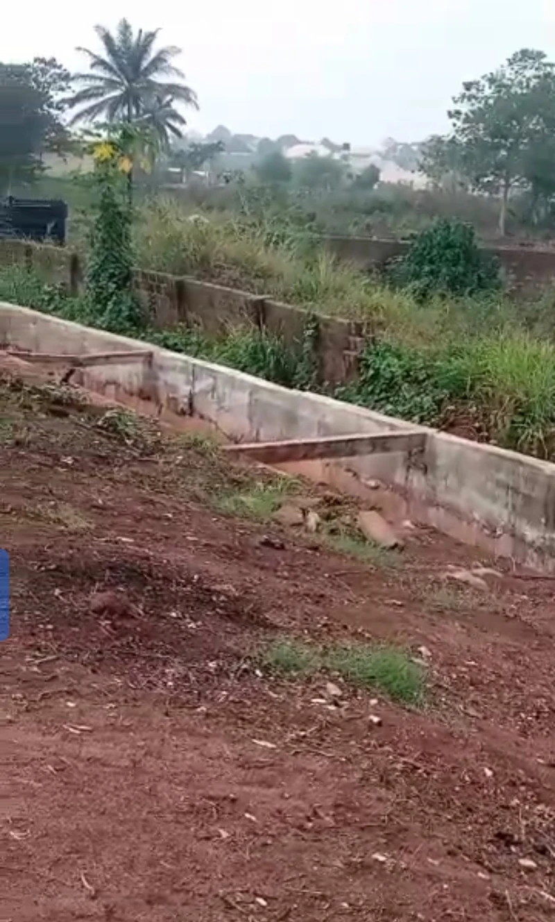 Land for Sale in Okpanam, Delta - Image 3