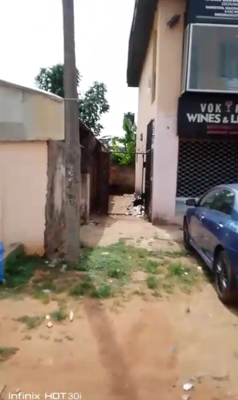 Plaza for Sale in Infant jesus, Delta - Image 3