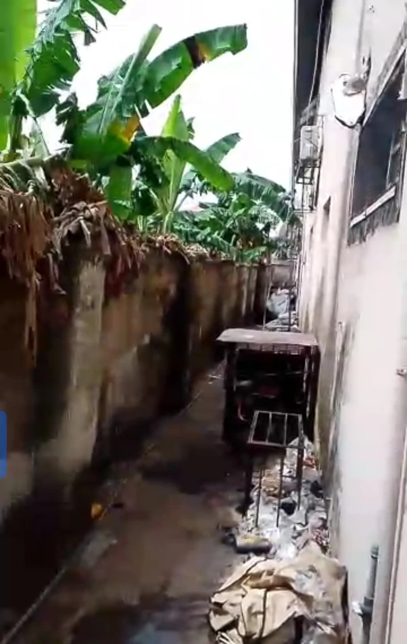 Plaza for Sale in Infant jesus, Delta - Image 2
