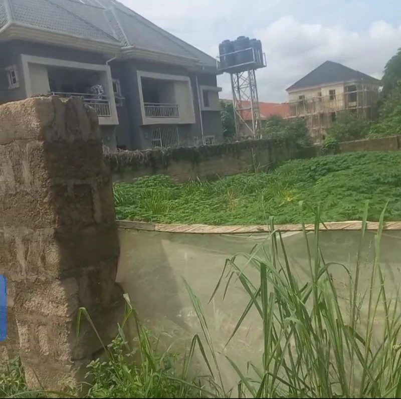 Land for Sale in Okpanam road, Delta - Image 3