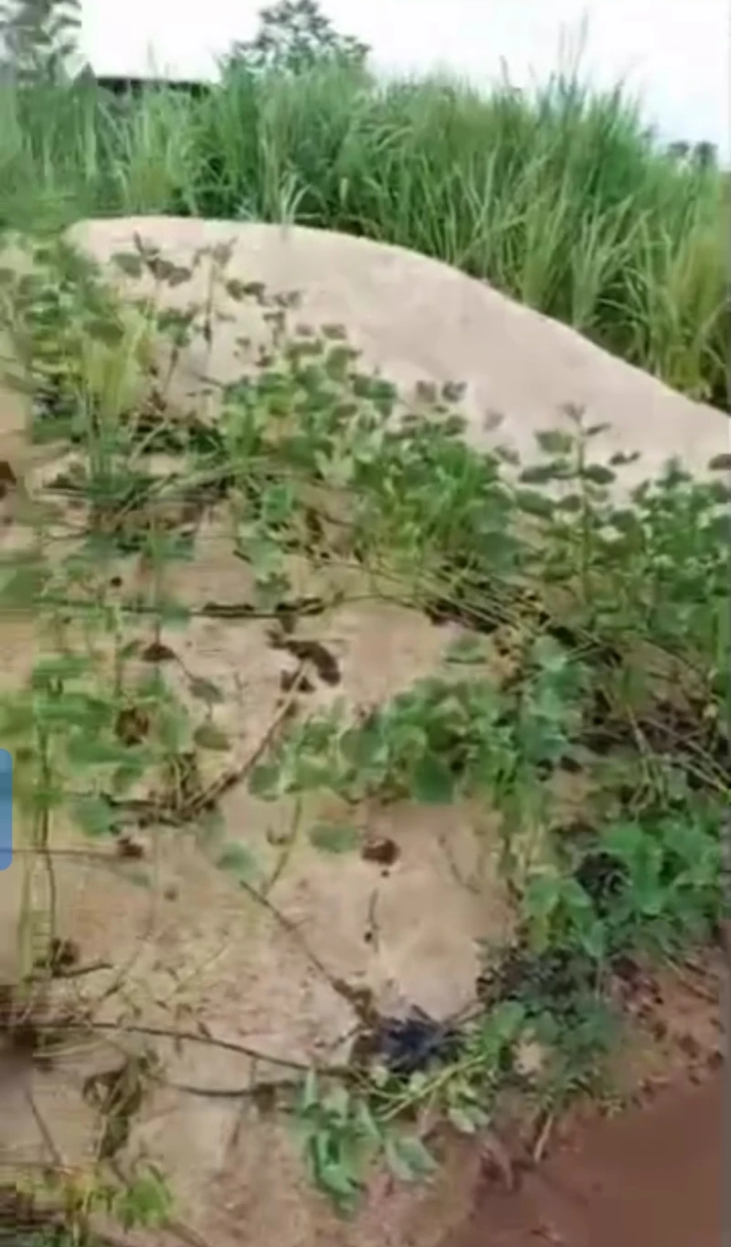 Land for Sale in Okpanam, Delta - Image 3