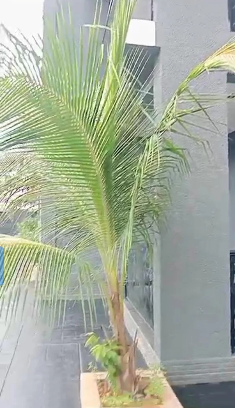 4 Bedroom Flat for Sale in Okpanam, Delta - Image 2