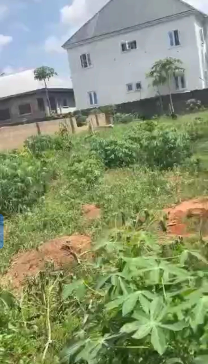 Land for Sale in Amachai Okpanam, Delta cover picture