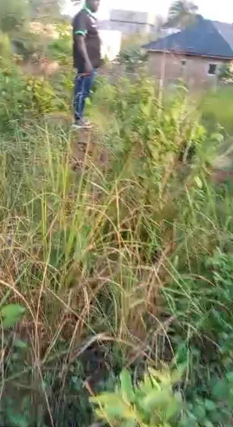 Land for Sale in Okpanam, back of fuji house, Delta cover picture