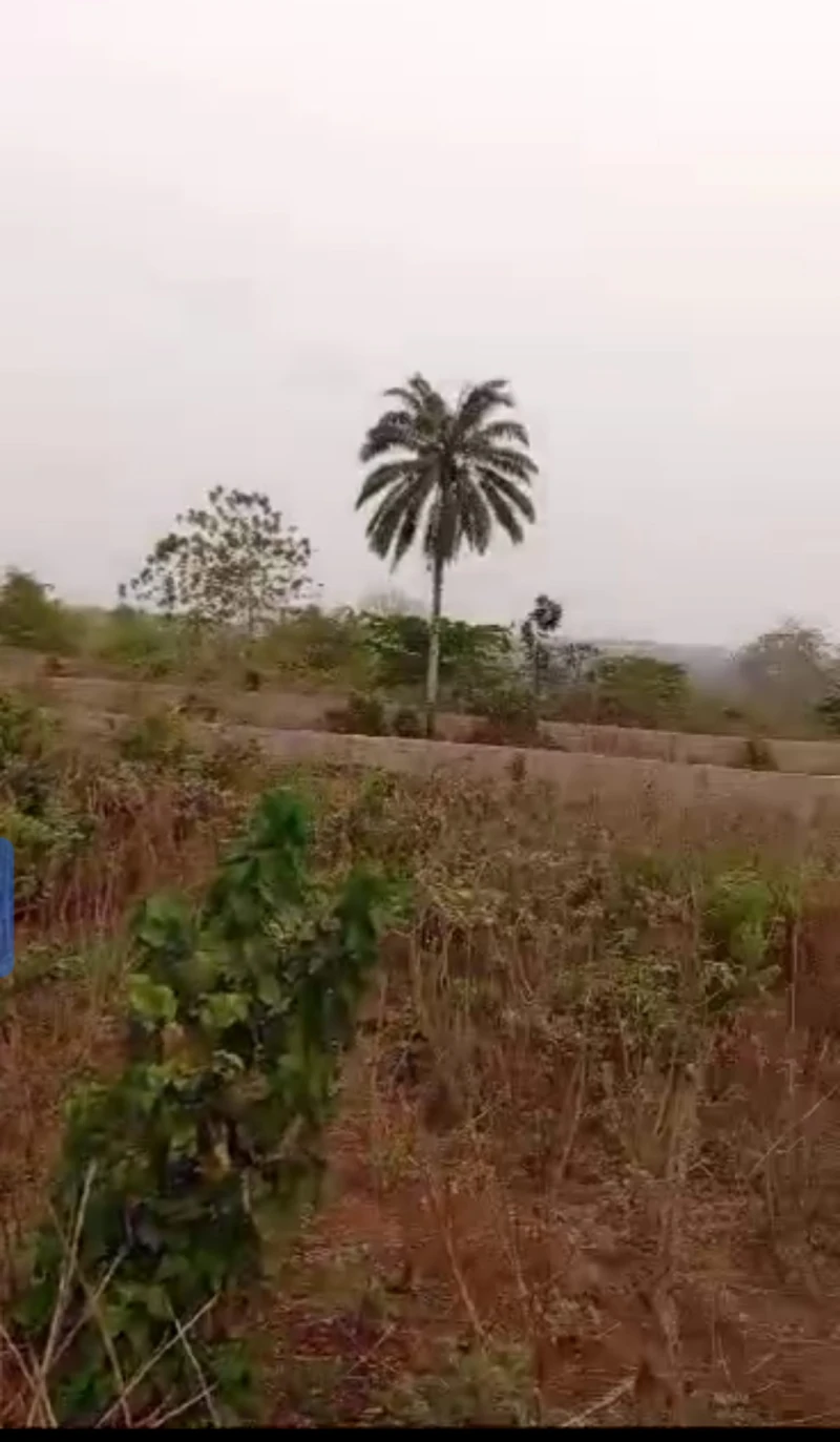 Land for Sale in back of Asaba international airport, Delta cover picture
