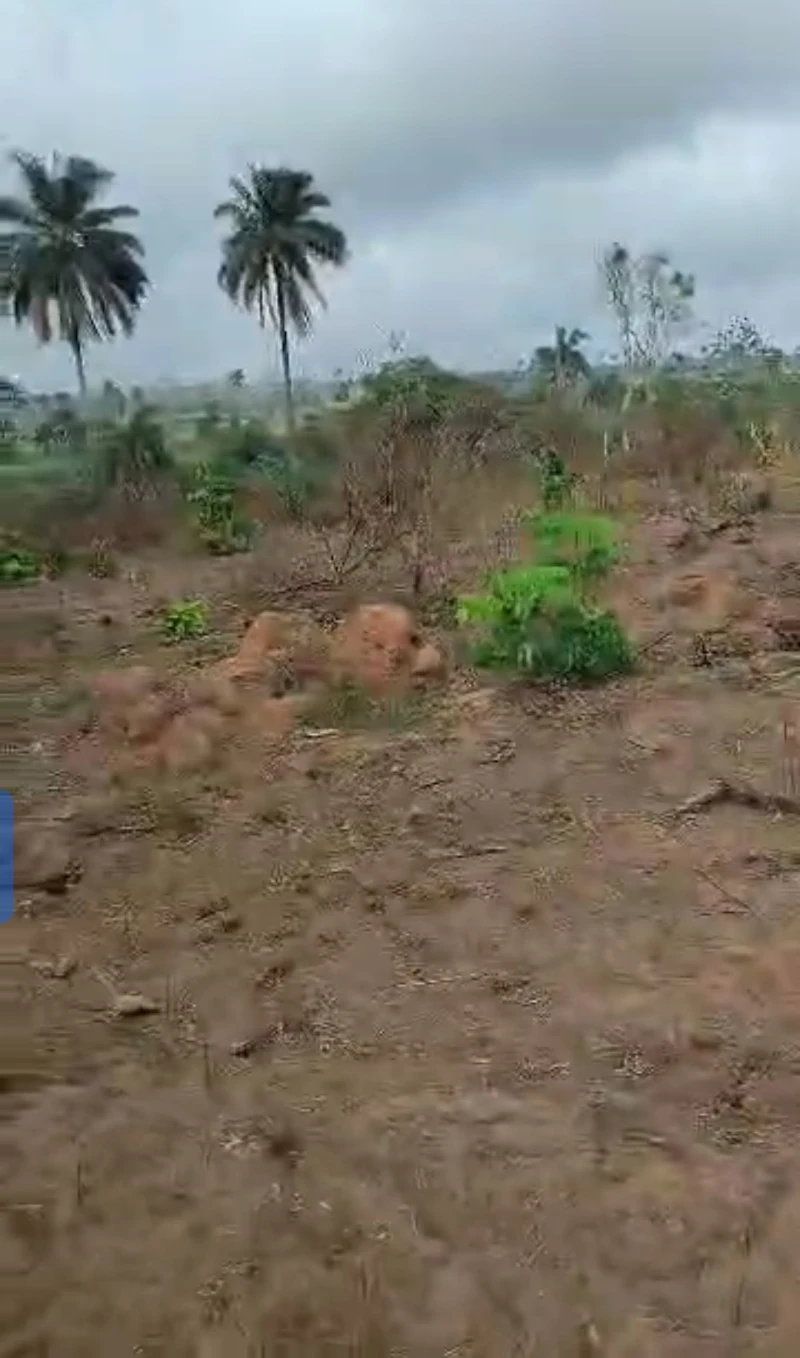 Land for Sale in Across city gate, Delta cover picture