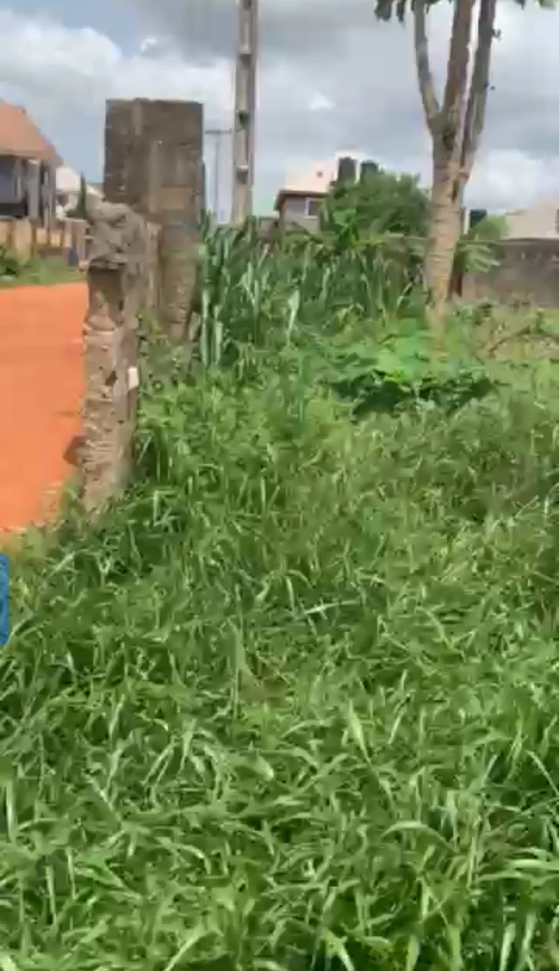 Land for Sale in Summit, Delta