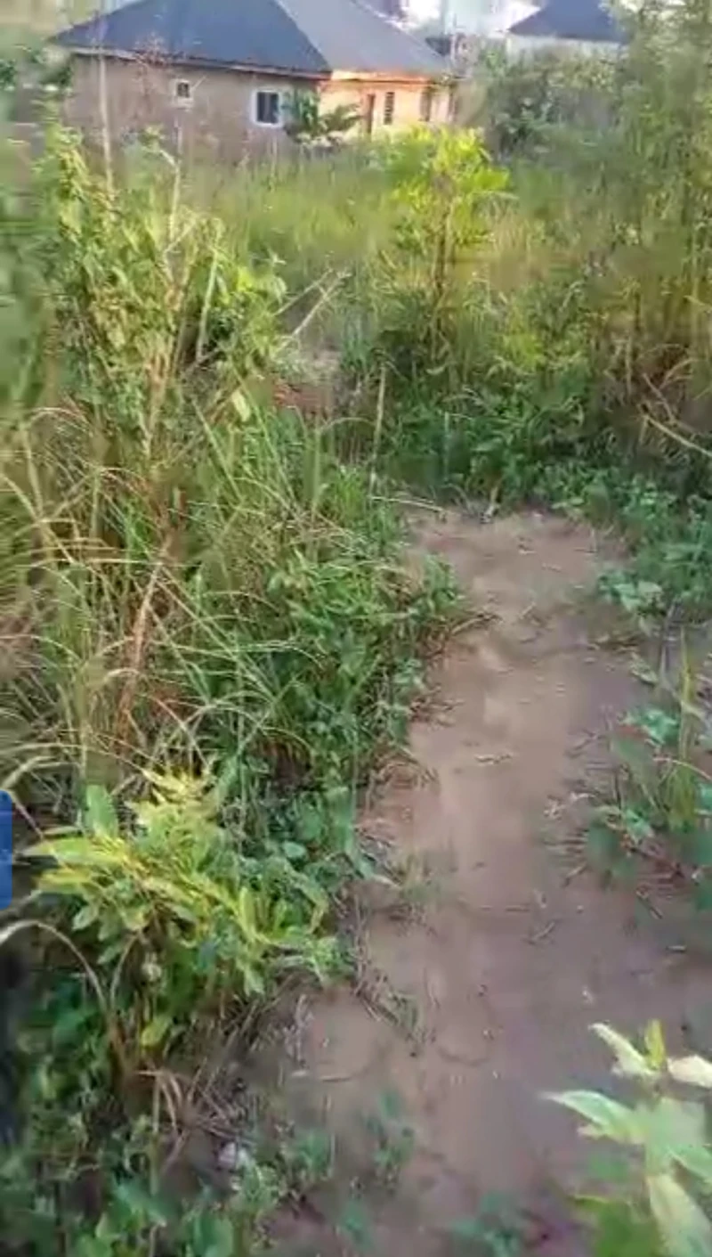 Land for Sale in Okpanam, Delta cover picture