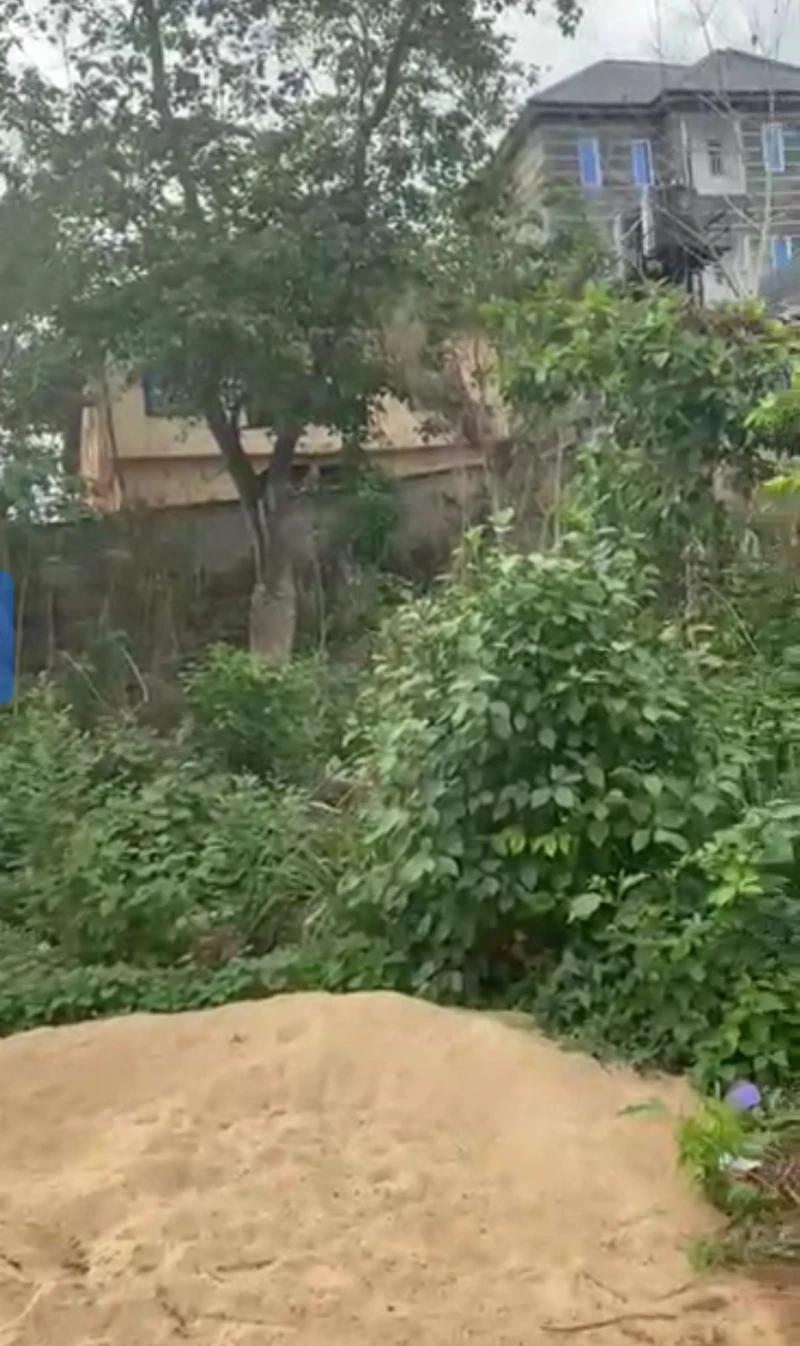 Land for Sale in Okpanam, Delta cover picture