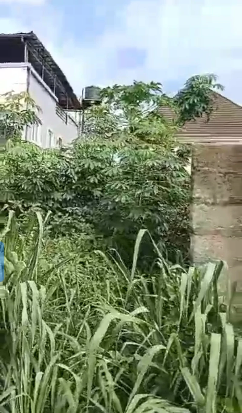 Land for Sale in Housing estate axis, Delta cover picture