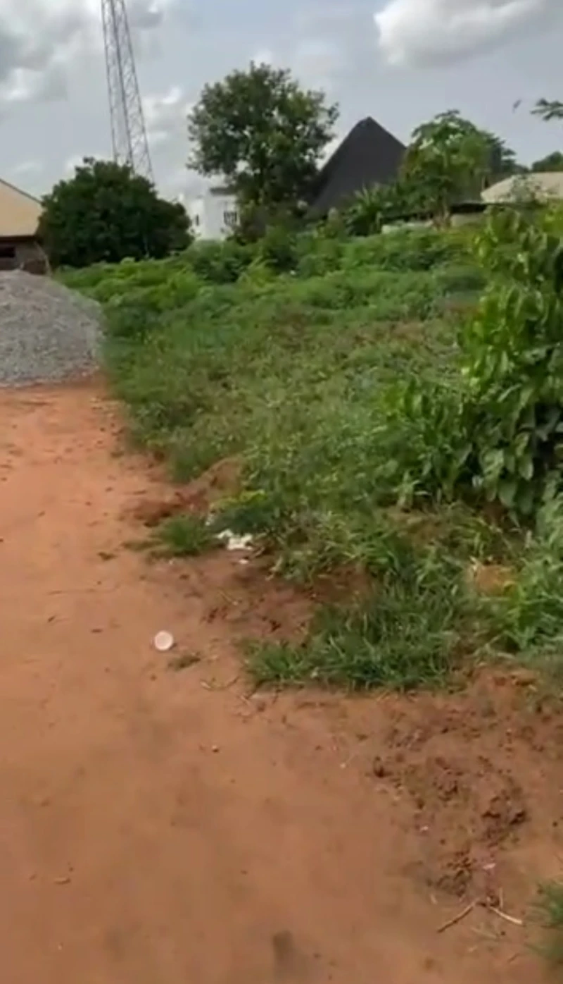 Land for Sale in NTA, Delta cover picture