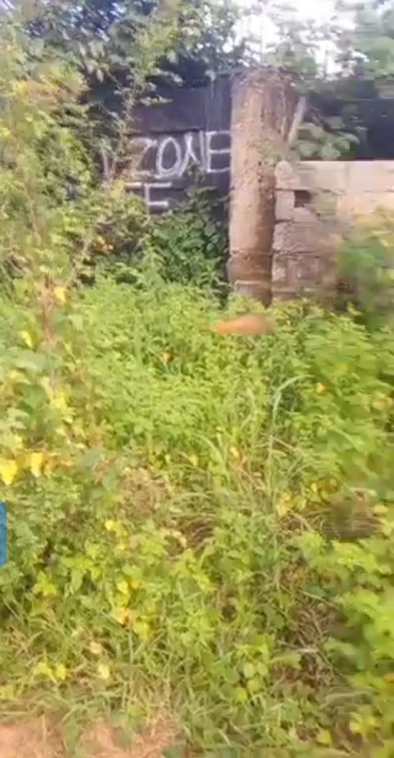 Land for Sale in Jeff ibusa, Delta cover picture