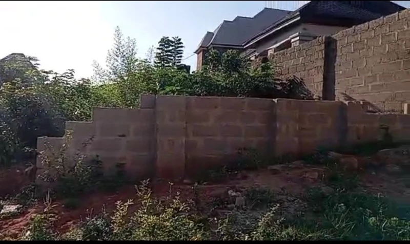 Land for Sale in Okpanam road, Delta cover picture