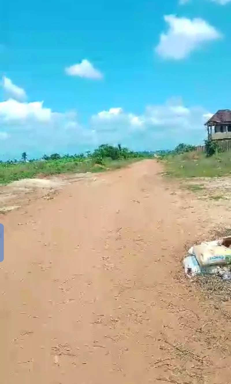 Land for Sale in Okpanam, Delta cover picture