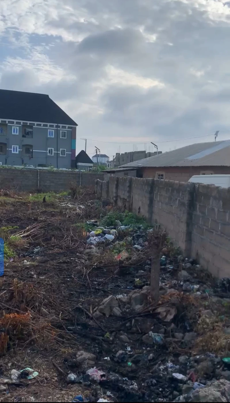 Land for Sale in Okpanam road, Delta cover picture