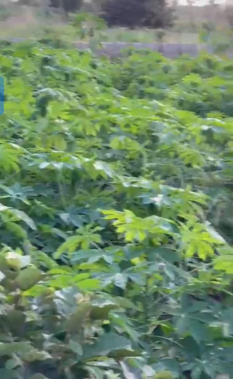 Land for Sale in Okpanam, Delta cover picture