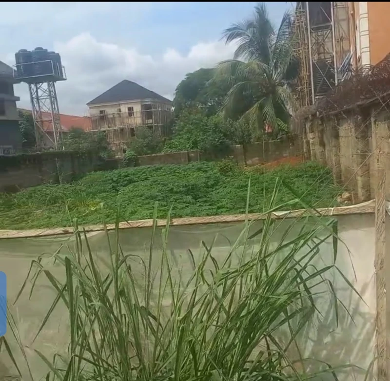 Land for Sale in Okpanam road, Delta cover picture