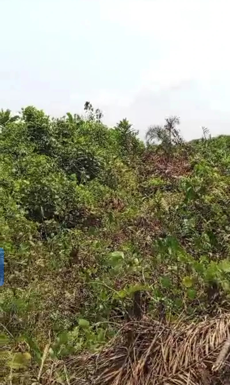 Land for Sale in Achala ibusa road, Delta cover picture