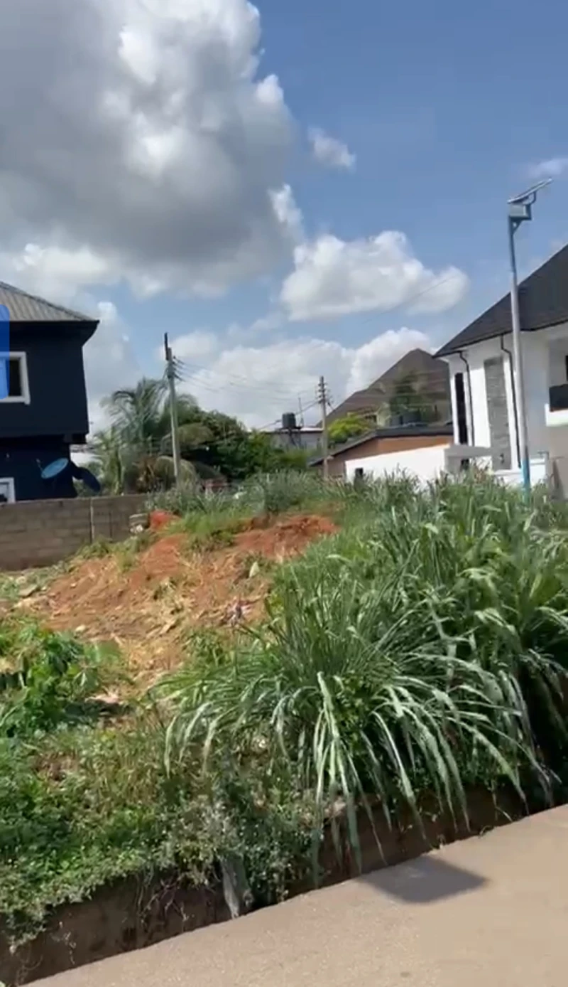 Land for Sale in Okpanam town, Delta cover picture