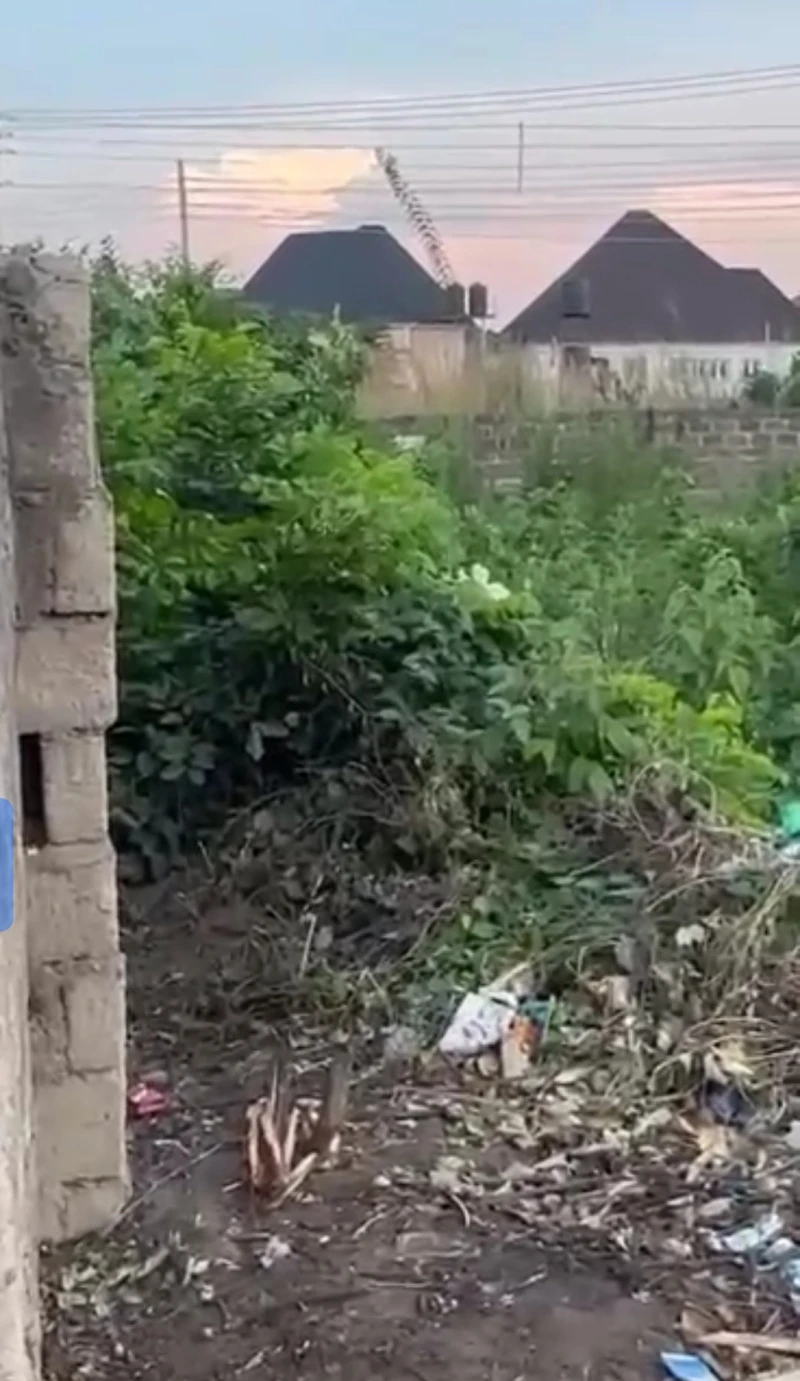 Land for Sale in Ibuzor road, Delta cover picture