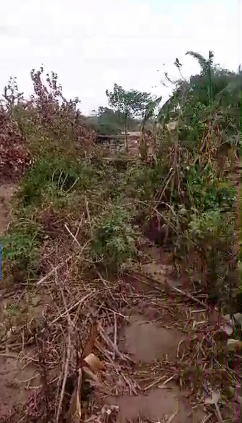Land for Sale in Okpanam, Delta