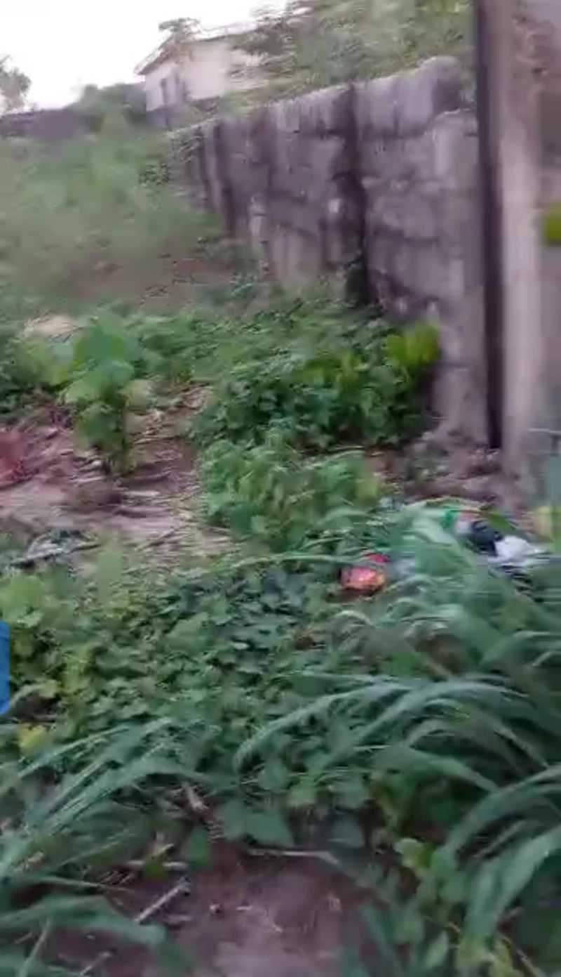 Land for Sale in New general Hospital, okpanam, Delta cover picture