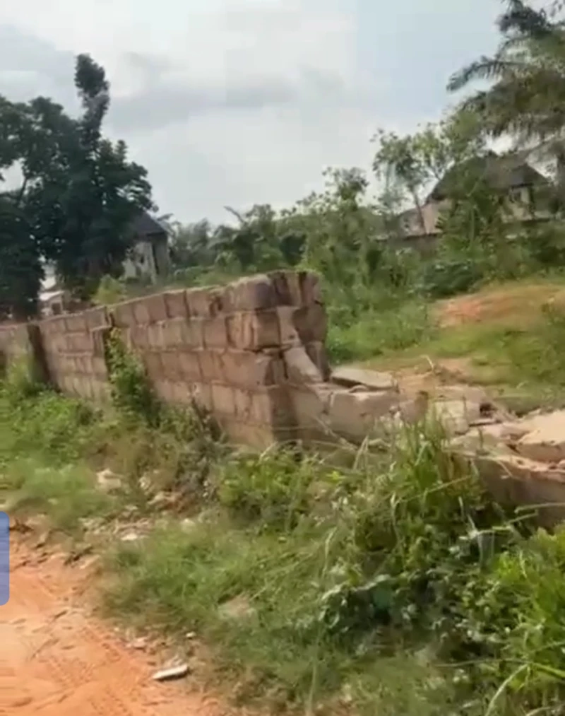 Land for Sale in across Okpanam city gate, Delta cover picture