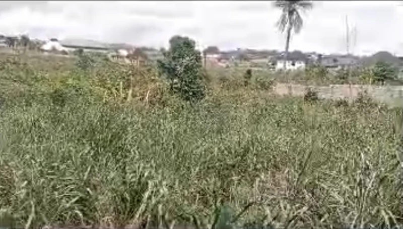 Land for Sale in Okpanam town, Delta cover picture