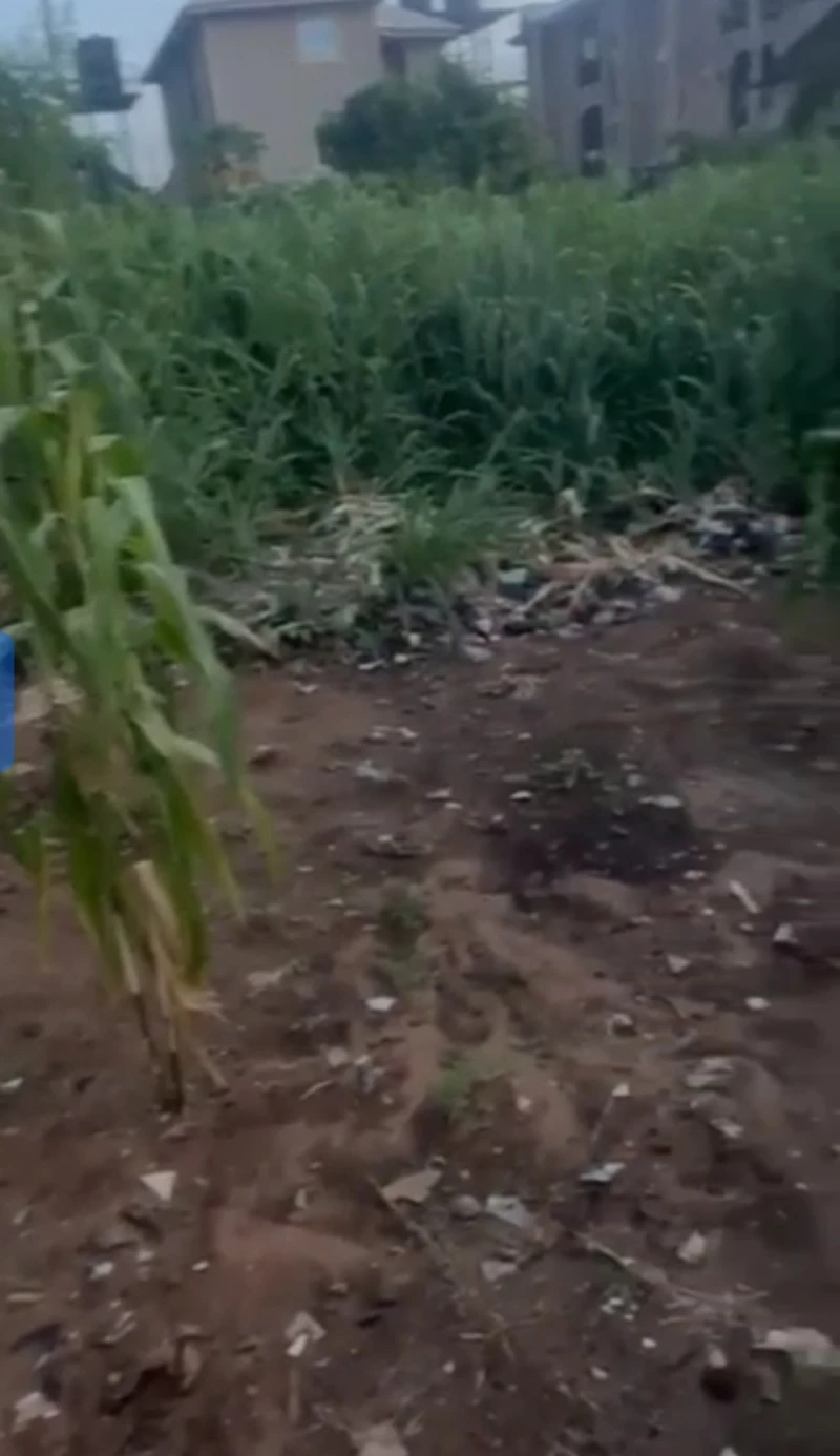 Land for Sale in Asaba, Delta cover picture