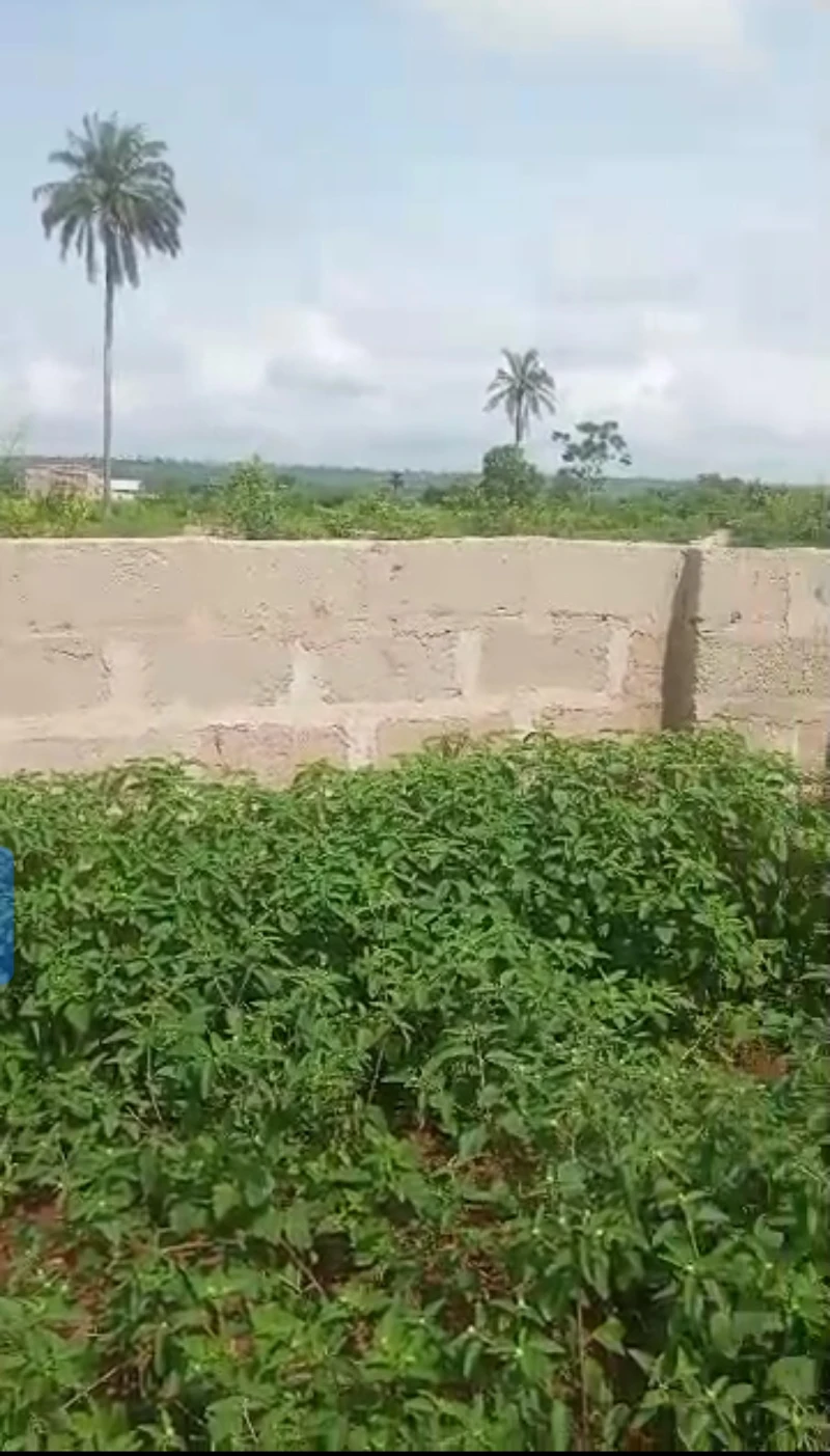 Land for Sale in Okpanam, Delta cover picture
