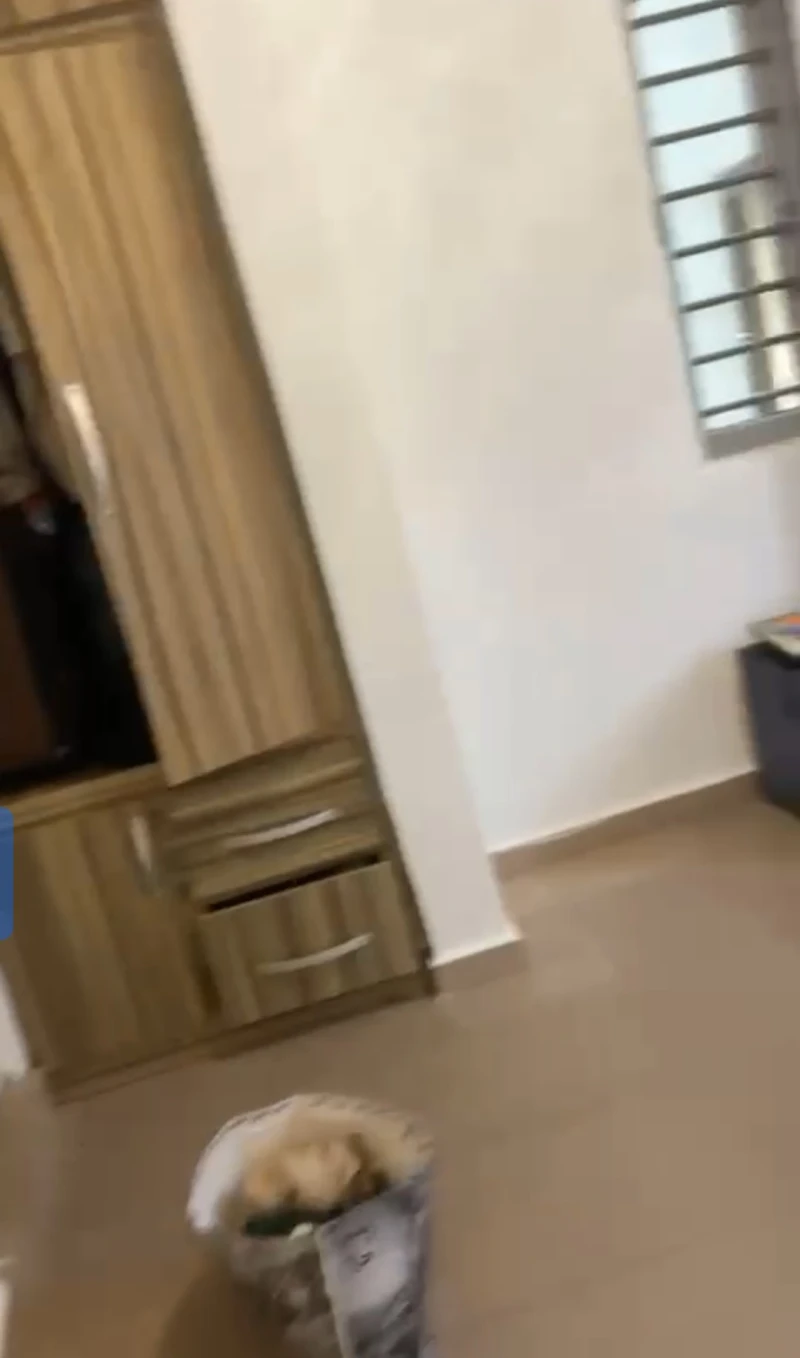 1 Bedroom Flat for Rent in Okpanam amachai, Delta cover picture