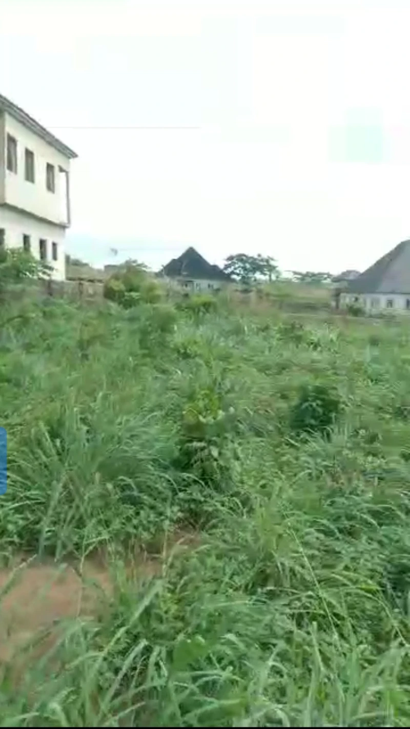 Land for Sale in Okpanam, Delta cover picture