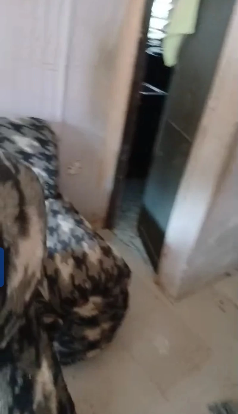 1 Bedroom Flat for Rent in back of Konwe plaza, Delta cover picture