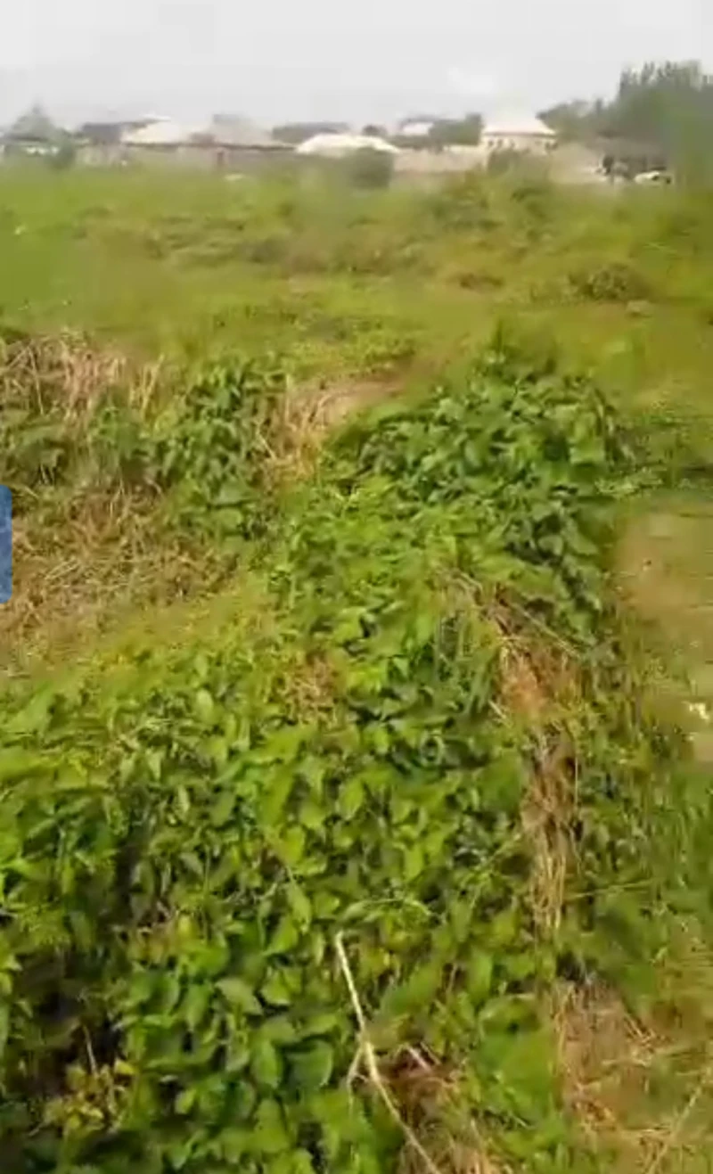 Land for Sale in Cable point, Delta cover picture