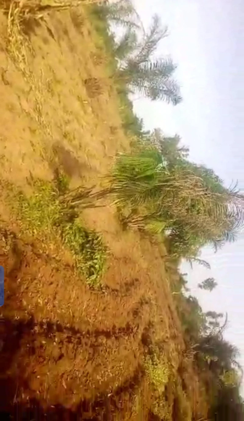 Land for Sale in Azagba, Delta cover picture