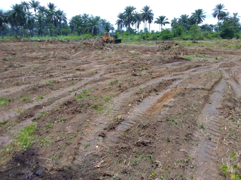Estate for Sale in Omagwa Portharcourt, Rivers cover picture