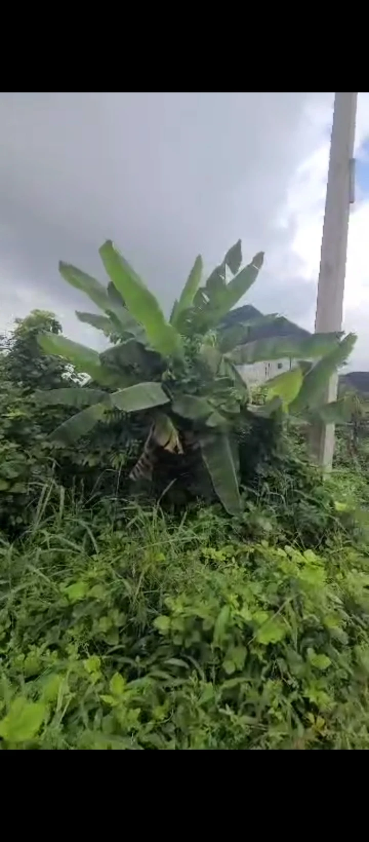 Land for Sale in Okhoromi airport road, Edo - Image 2