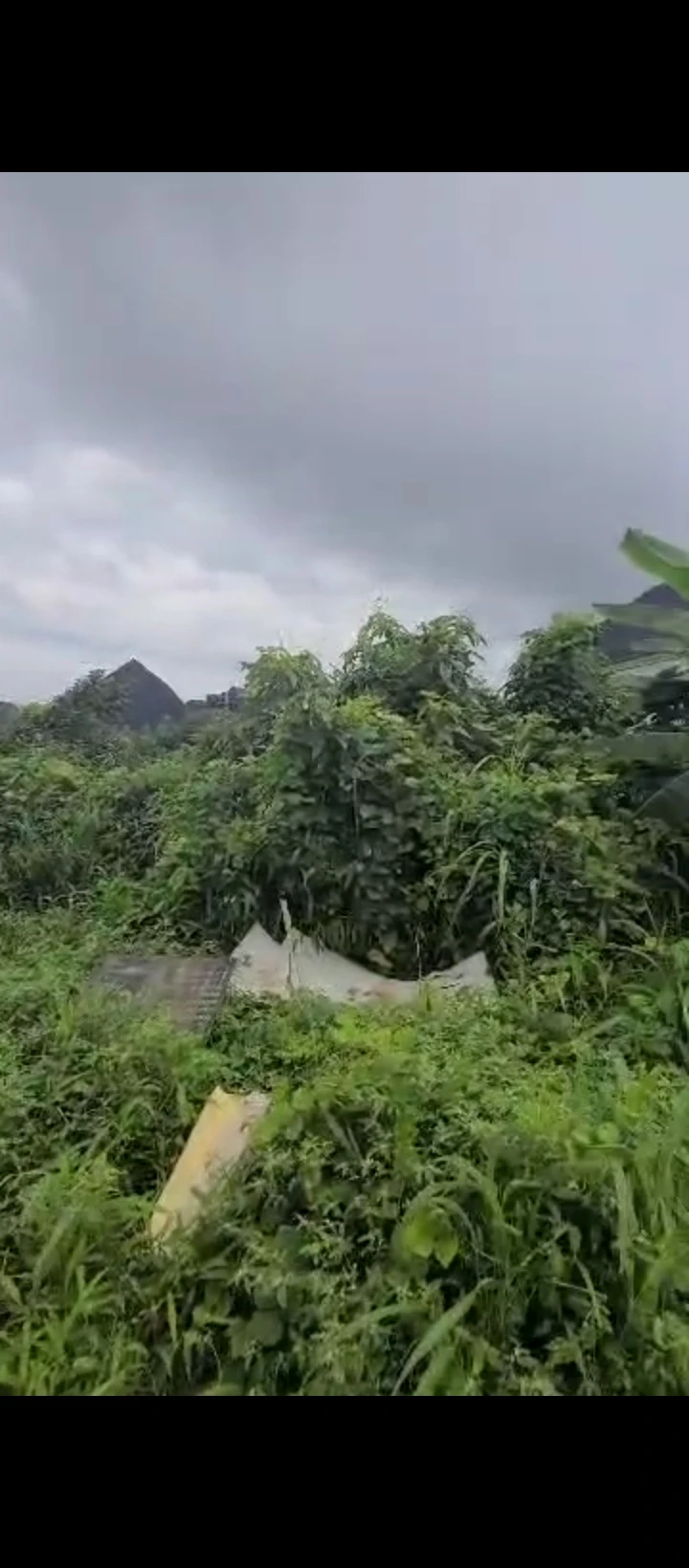Land for Sale in Okhoromi airport road, Edo - Image 3