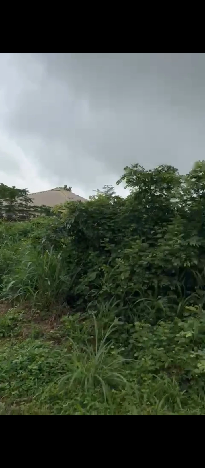 Land for Sale in Arougba/okhoromi, Edo - Image 4