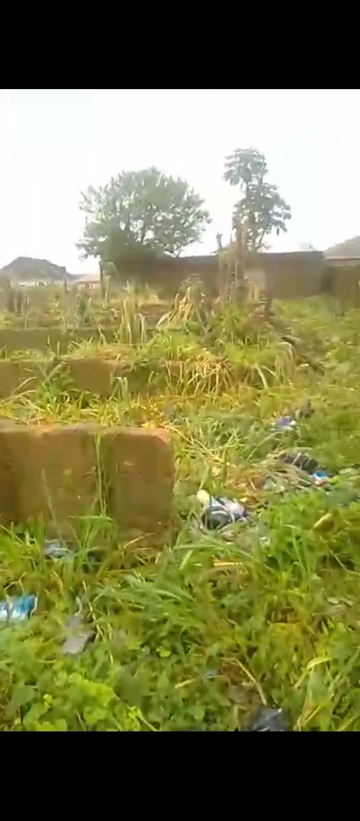 Land for Sale in Arougba airport road, Edo - Image 4
