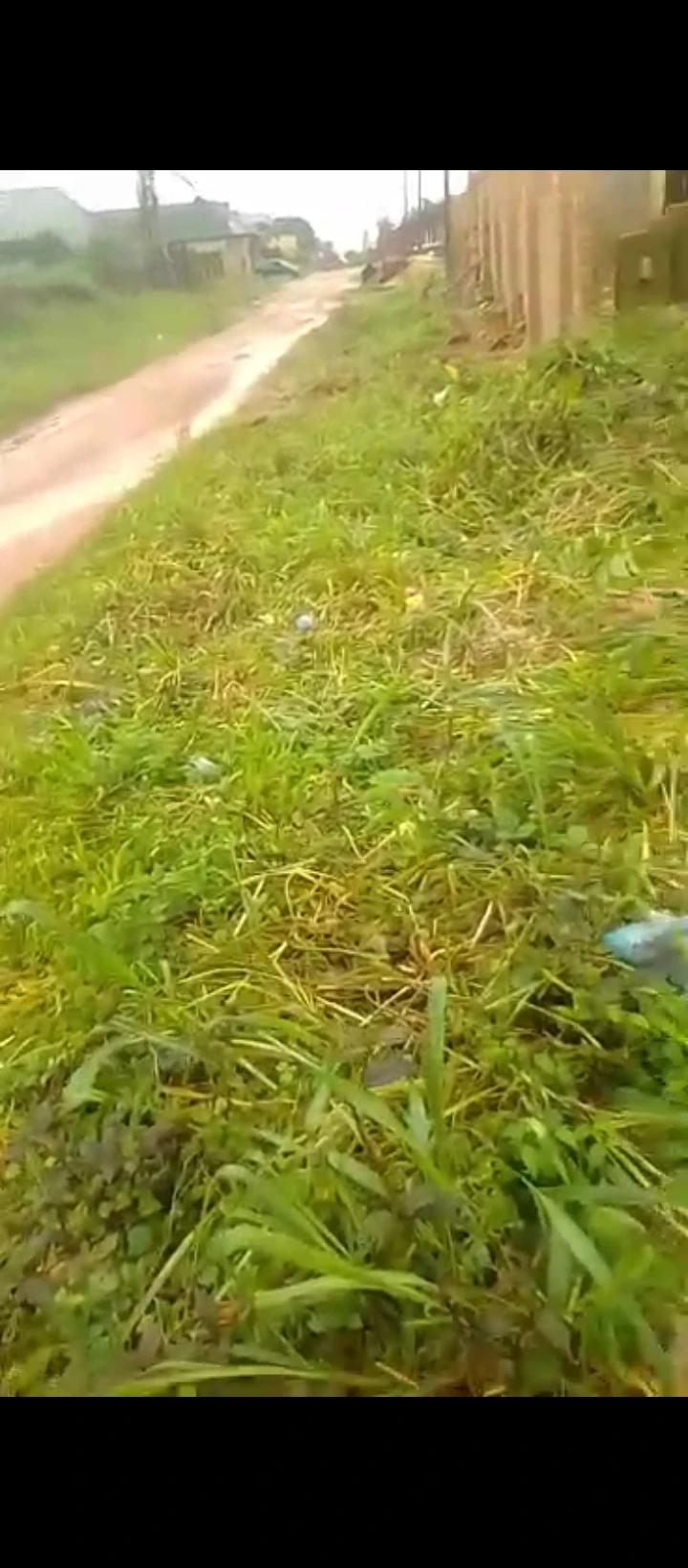 Land for Sale in Arougba airport road, Edo - Image 6