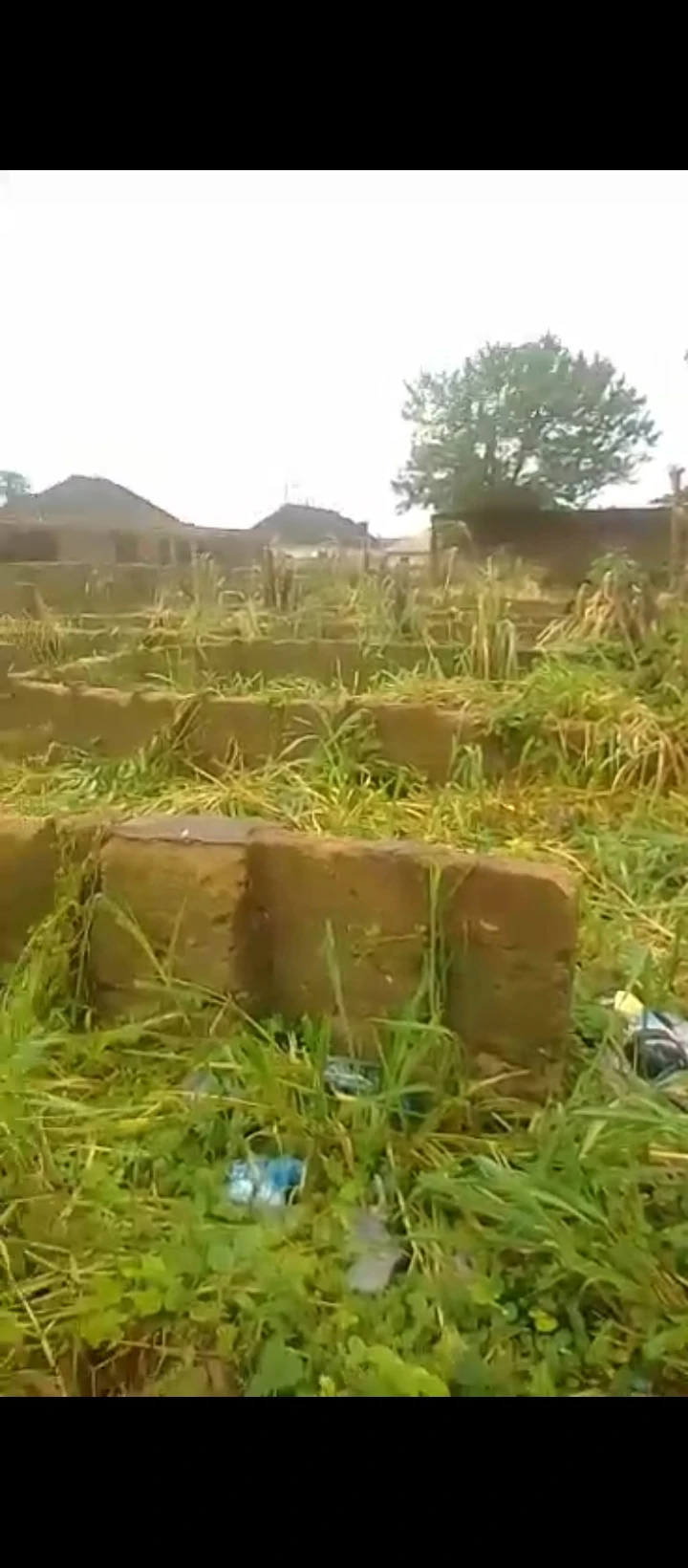 Land for Sale in Arougba airport road, Edo - Image 3