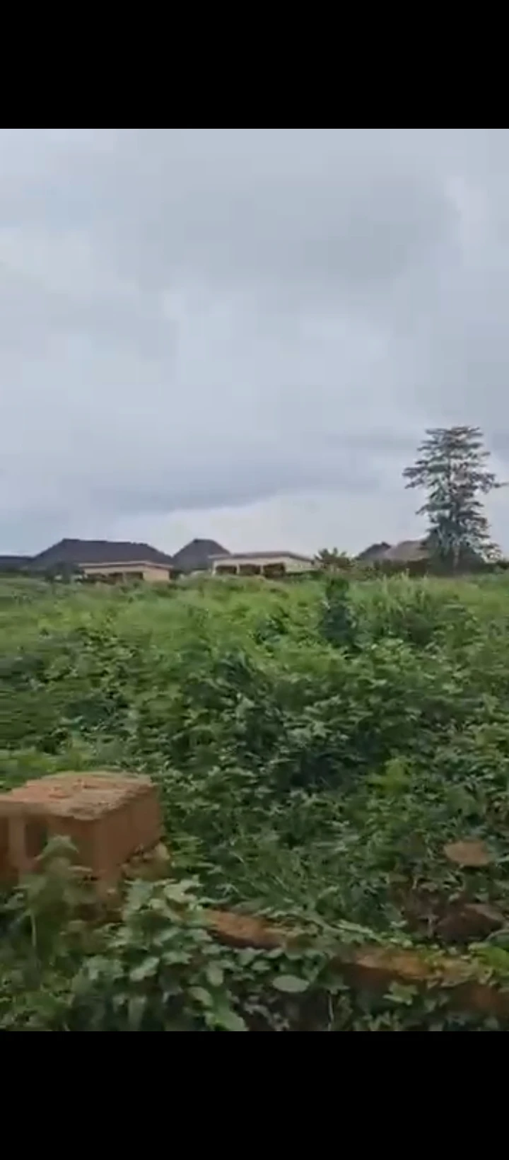 Land for Sale in Okhoromi airport road, Edo - Image 5