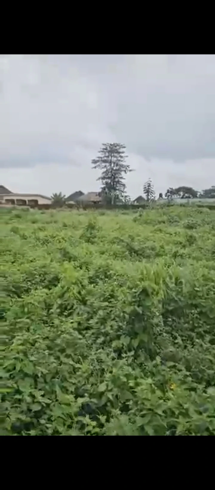 Land for Sale in Okhoromi airport road, Edo - Image 2