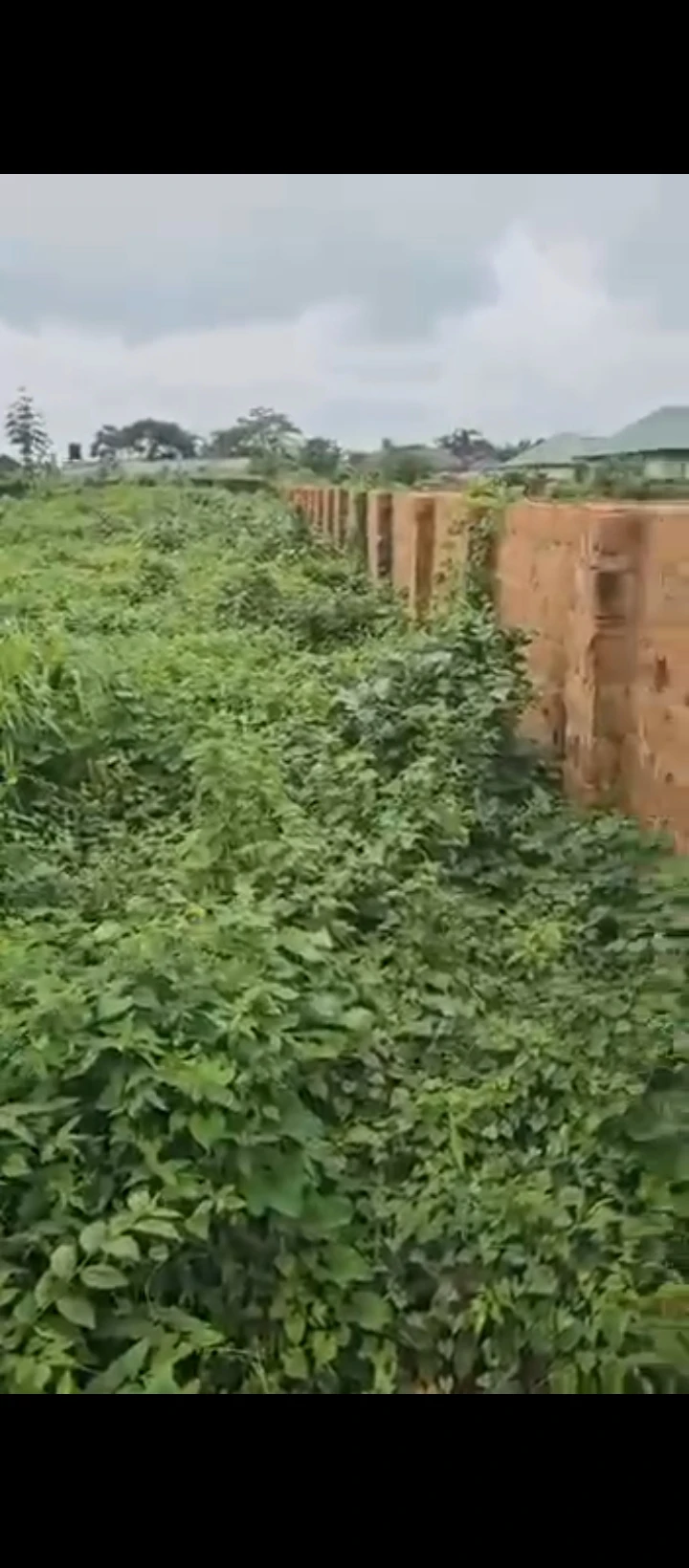 Land for Sale in Okhoromi airport road, Edo - Image 1