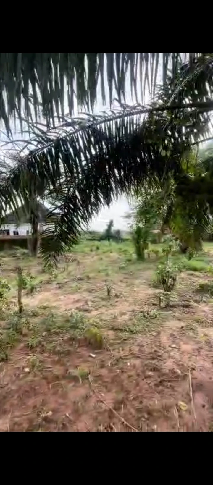 Land for Sale in Amagba, Edo - Image 1