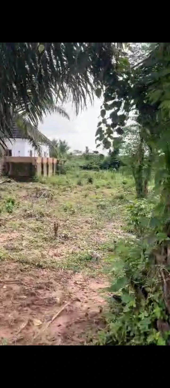Land for Sale in Amagba, Edo - Image 4