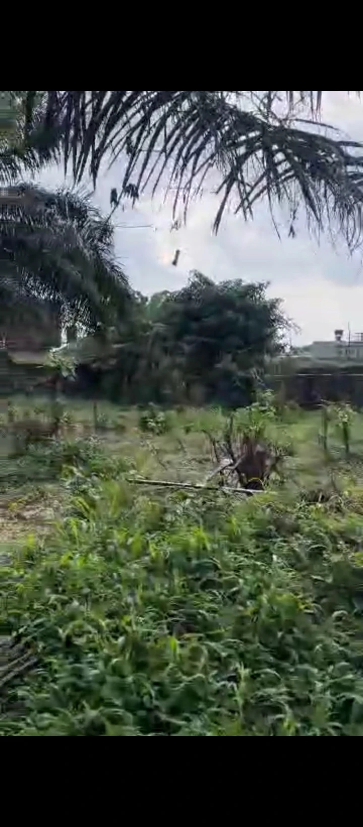Land for Sale in Amagba, Edo - Image 2